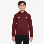 Nike Liverpool FC NSW Club PO Hoodie Jr FZ4149-619