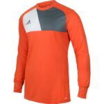 adidas Assita 17 Junior Goalkeeper Jersey AZ5398