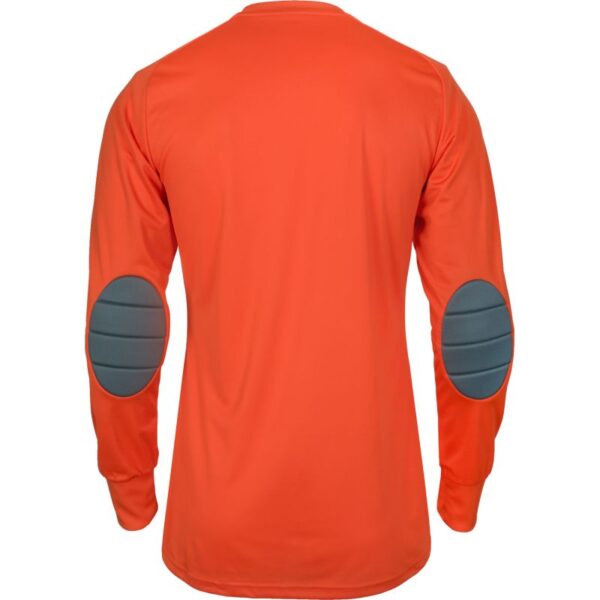 adidas Assita 17 M AZ5398 goalkeeper jersey