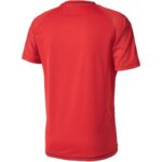 adidas Tiro 17 M BP8557 football shirt – Obrázok 2