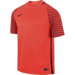 Nike Gardien M 725889-671 Goalkeeper Shirt