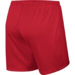 Nike Park Knit Short NB W 833053-657 Football Shorts – Obrázok 2