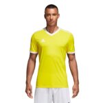 adidas Table 18 JSY M CE8941 football shirt