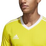 adidas Table 18 JSY M CE8941 football shirt – Obrázok 3