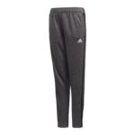 adidas TAN TR Panty Junior CZ8701 training pants