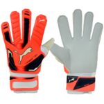 PUMA EVO POWER GRIP 2 AQUA GOALKEEPER GLOVES 41145 30 – Obrázok 4