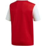 adidas Estro 19 JSY M DP3230 football shirt – Obrázok 17