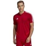 adidas TIRO 19 M D95944 football shirt