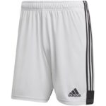 adidas Tastigo 19 Shorts M DP3247