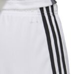 adidas Tastigo 19 Shorts M DP3247 – Obrázok 3
