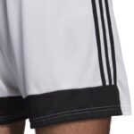 adidas Tastigo 19 Shorts M DP3247 – Obrázok 4
