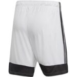 adidas Tastigo 19 Shorts M DP3247 – Obrázok 5