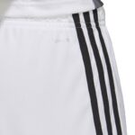 adidas Tastigo 19 Shorts M DP3247 – Obrázok 8