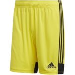 adidas Tastigo 19 Shorts M DP3249