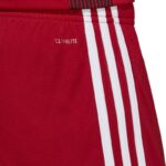 adidas Tastigo 19 Shorts M DP3681 – Obrázok 7