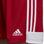adidas Tastigo 19 Shorts M DP3681 – Obrázok 8