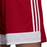 adidas Tastigo 19 Shorts M DP3681 – Obrázok 9