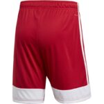 adidas Tastigo 19 Shorts M DP3681 – Obrázok 10