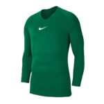 Nike Dry Park First Layer M AV2609-302 Thermal Hoodie
