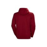 Helly Hansen Logo Hoodie M 33977-215 – Obrázok 2