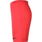 Nike Dry Park III NB KM BV6855 635 Shorts – Obrázok 3