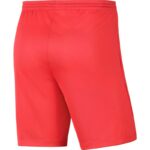 Nike Dry Park III NB KM BV6855 635 Shorts – Obrázok 5