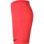 Nike Dry Park III NB KM BV6855 635 Shorts – Obrázok 6