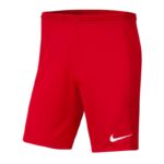 Nike Dry Park III M BV6855-657 Shorts