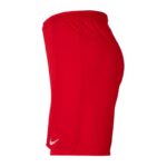 Nike Dry Park III M BV6855-657 Shorts – Obrázok 2