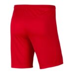 Nike Dry Park III M BV6855-657 Shorts – Obrázok 3