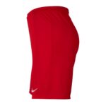 Nike Park III Knit Jr BV6865-657 Shorts – Obrázok 2