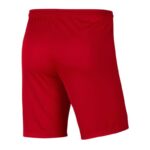 Nike Park III Knit Jr BV6865-657 Shorts – Obrázok 3