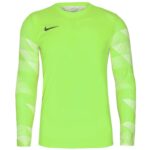 Nike Dry Park IV M T-shirt CJ6066-702 – Obrázok 2