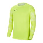 Nike Dry Park IV M T-shirt CJ6066-702 – Obrázok 4
