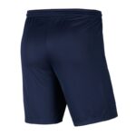 Nike Park III Knit Jr BV6865-410 Shorts – Obrázok 3