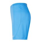 Nike Park III Knit Jr BV6865-412 Shorts – Obrázok 2
