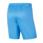 Nike Park III Knit Jr BV6865-412 Shorts – Obrázok 3