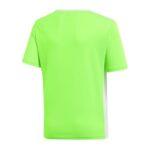 adidas Entrada 18 Jr T-shirt CE9755 – Obrázok 2
