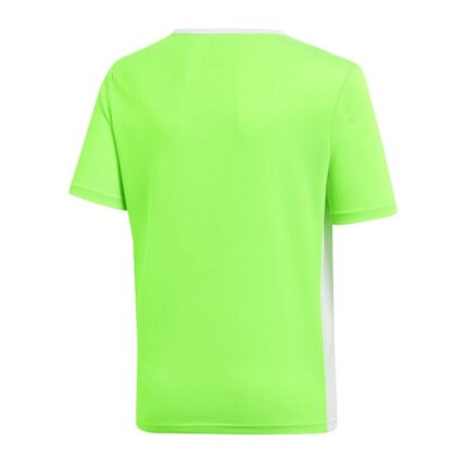 adidas Entrada 18 Jr T-shirt CE9755