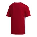 adidas Entrada 18 Jr CF1050 T-shirt – Obrázok 2