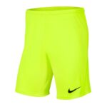 Nike Park III Knit Jr BV6865-702 Shorts