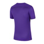 Nike Park VII M BV6708-547 T-shirt – Obrázok 2