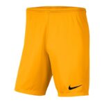 Nike Dry Park III M BV6855-739 Shorts