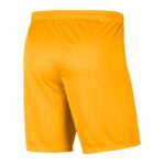 Nike Dry Park III M BV6855-739 Shorts – Obrázok 3