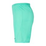 Nike Park III Knit Jr BV6865-354 Shorts – Obrázok 2
