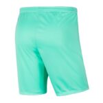 Nike Park III Knit Jr BV6865-354 Shorts – Obrázok 3