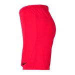 Nike Park III Knit Jr BV6865-635 Shorts – Obrázok 2