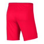 Nike Park III Knit Jr BV6865-635 Shorts – Obrázok 3