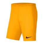 Nike Park III Knit Jr BV6865-739 Shorts