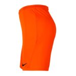 Nike Park III Knit Jr BV6865-819 Shorts – Obrázok 2
